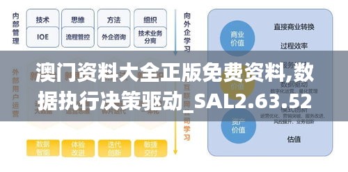 澳门资料大全正版免费资料,数据执行决策驱动_SAL2.63.52更新版