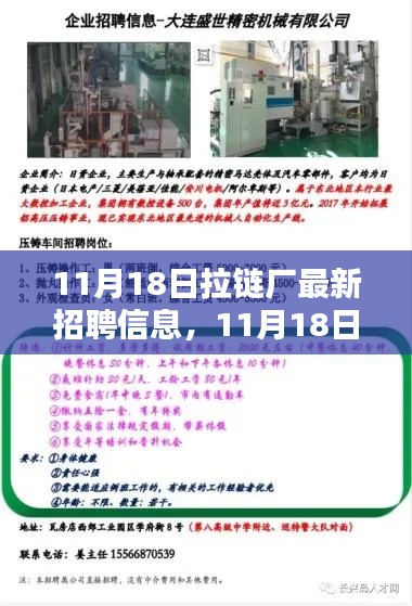 11月18日拉链厂最新招聘信息，11月18日拉链厂最新招聘信息全面评测介绍