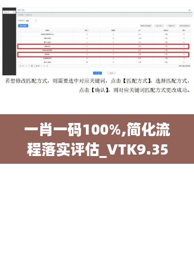 一肖一码100%,简化流程落实评估_VTK9.35.90远程版