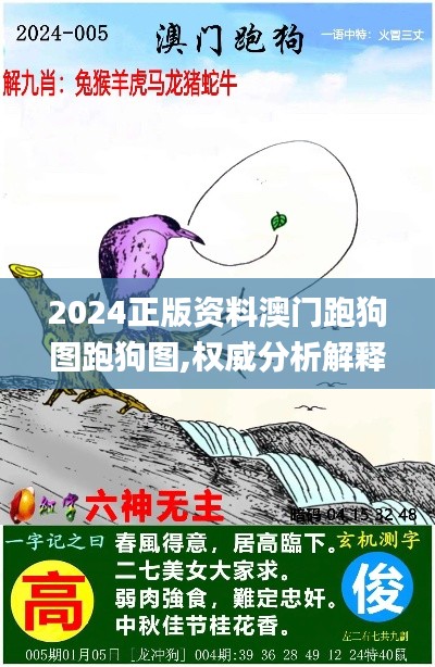 2024正版资料澳门跑狗图跑狗图,权威分析解释定义_ASA4.61.33超清版