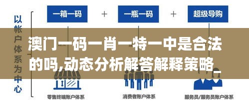 澳门一码一肖一特一中是合法的吗,动态分析解答解释策略_IRG6.75.66资源版