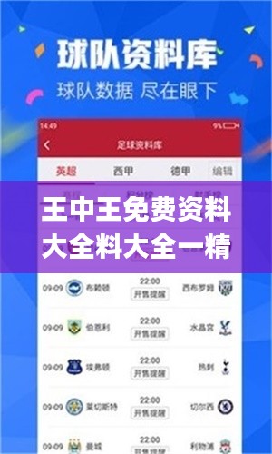 王中王免费资料大全料大全一精准,权变解答解释落实_MSH6.12.34公积板