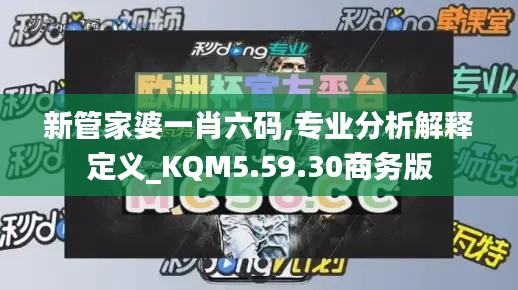 新管家婆一肖六码,专业分析解释定义_KQM5.59.30商务版