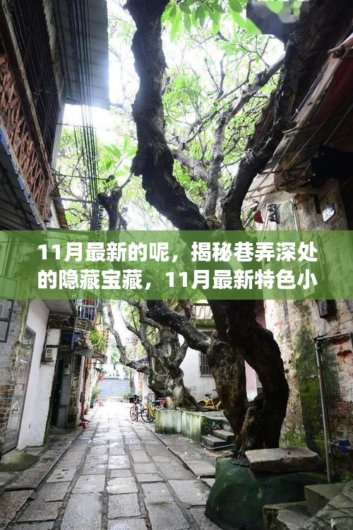 fenghuangyufei 第18页
