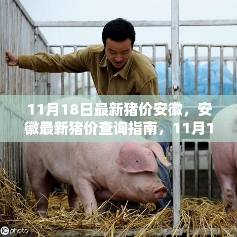 yichuruifei 第19页