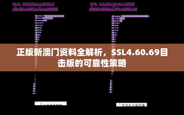 正版新澳门资料全解析，SSL4.60.69目击版的可靠性策略