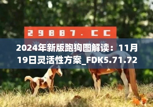 2024年新版跑狗图解读：11月19日灵活性方案_FDK5.71.72证实版本