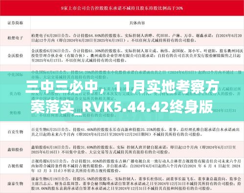 三中三必中，11月实地考察方案落实_RVK5.44.42终身版