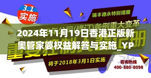 2024年11月19日香港正版新奥管家婆权益解答与实施_YPW2.49.56动感版