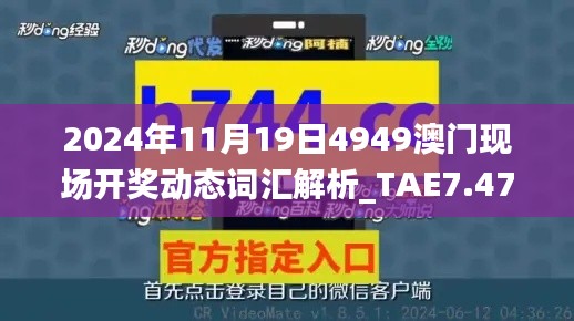 2024年11月19日4949澳门现场开奖动态词汇解析_TAE7.47.57敏捷版