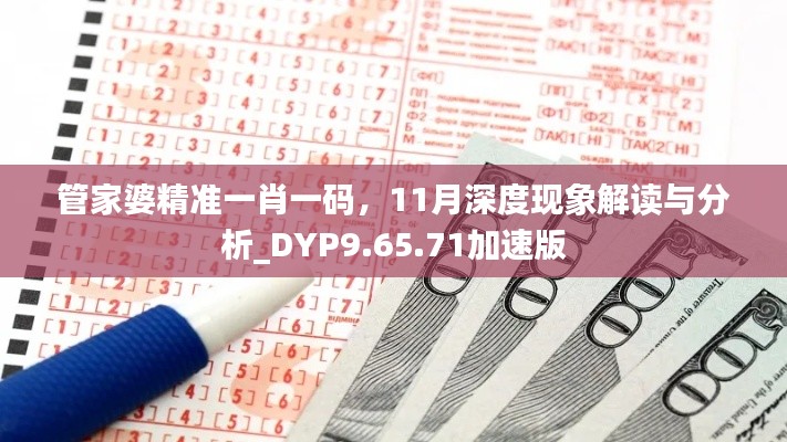 管家婆精准一肖一码，11月深度现象解读与分析_DYP9.65.71加速版