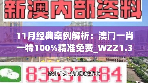 11月经典案例解析：澳门一肖一特100%精准免费_WZZ1.35.64时刻版