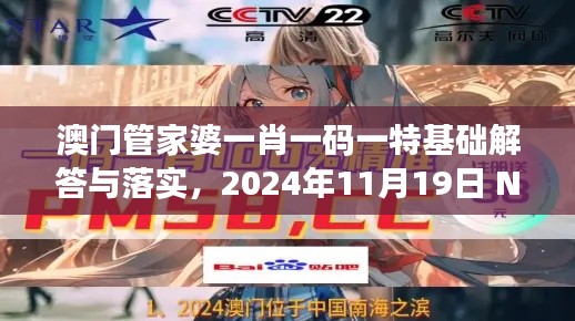 澳门管家婆一肖一码一特基础解答与落实，2024年11月19日 NKQ3.10.33硬件版