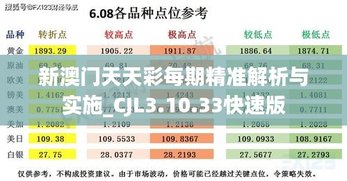 新澳门天天彩每期精准解析与实施_CJL3.10.33快速版