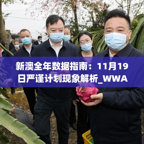 新澳全年数据指南：11月19日严谨计划现象解析_WWA7.22.45赋能版