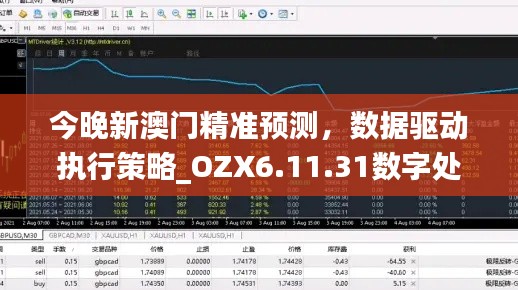 今晚新澳门精准预测，数据驱动执行策略_OZX6.11.31数字处理版