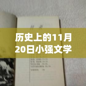 探秘小巷深处的文学宝藏，历史上的11月20日小强文学网最新更新