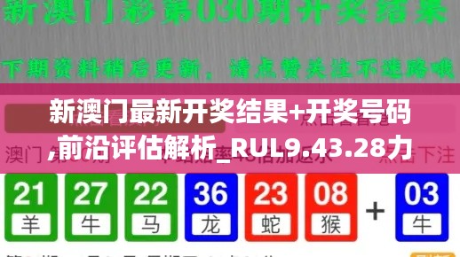公司环境 第393页