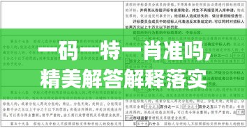 一码一特一肖准吗,精美解答解释落实_JUN9.49.35编程版