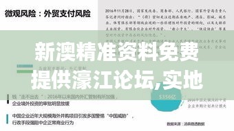 新澳精准资料免费提供濠江论坛,实地数据解析评估_HEG4.20.63先锋科技