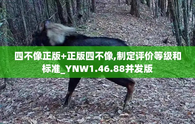 四不像正版+正版四不像,制定评价等级和标准_YNW1.46.88并发版