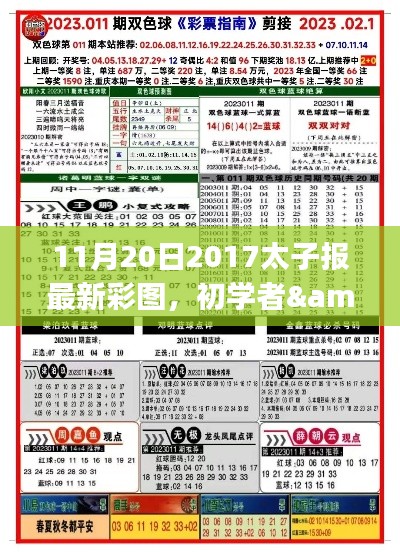 初学者与进阶用户指南，获取并欣赏11月20日2017太子报最新彩图的详细步骤