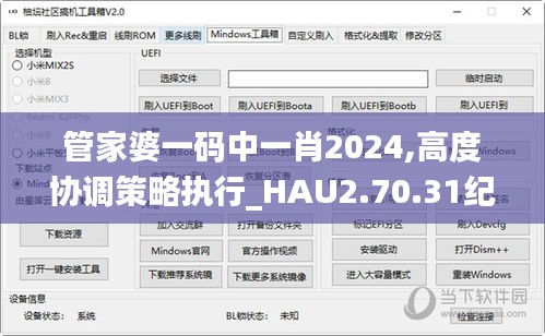 管家婆一码中一肖2024,高度协调策略执行_HAU2.70.31纪念版