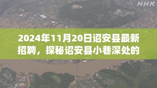 shencaifeiyang 第17页
