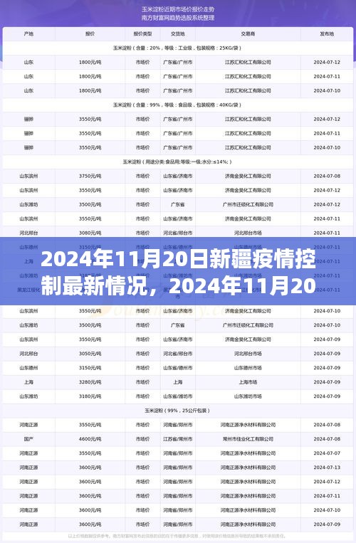 新疆疫情控制最新情况详解，一步步了解与应对