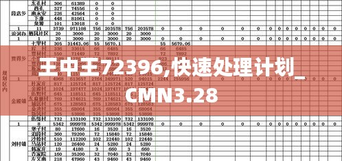 王中王72396,快速处理计划_CMN3.28