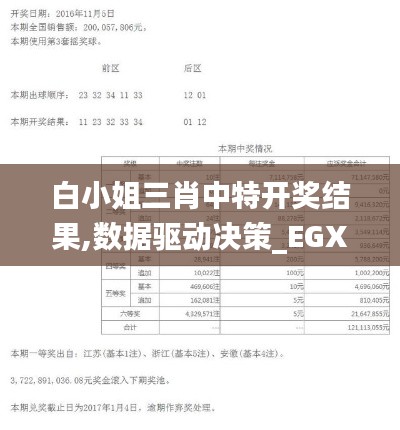 白小姐三肖中特开奖结果,数据驱动决策_EGX3.37