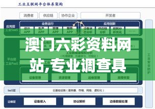 澳门六彩资料网站,专业调查具体解析_GWD3.38