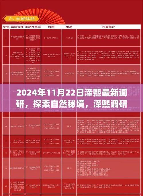 chiyulongniao 第16页