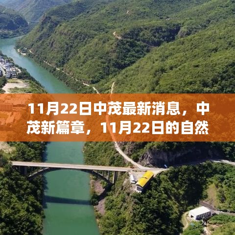 bogutongjin 第14页