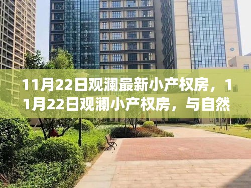 11月22日观澜最新小产权房，11月22日观澜小产权房，与自然美景的邂逅，寻找内心的平和之旅