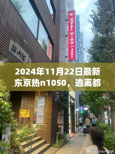 东京秘境探寻，逃离喧嚣的都市，启程心灵之旅的自然秘境探索之旅