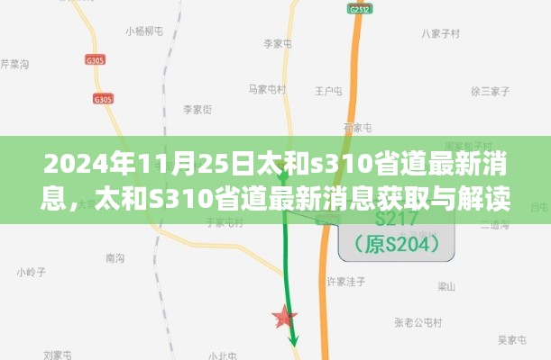 fenghuangyufei 第13页