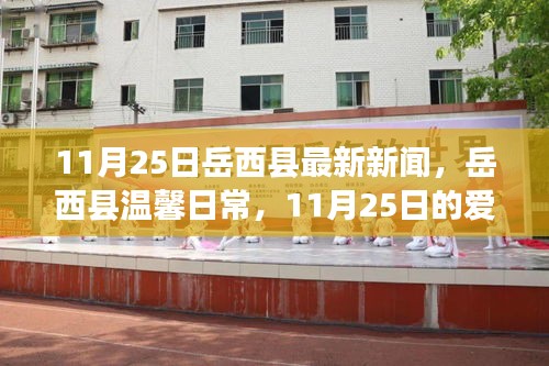 岳西县温馨日常，爱与陪伴的温暖故事（11月25日最新新闻）