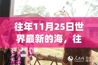 chibaichunhong 第14页
