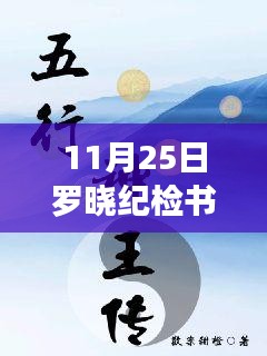 深度测评与介绍，罗晓纪检书记最新章节（11月25日更新）