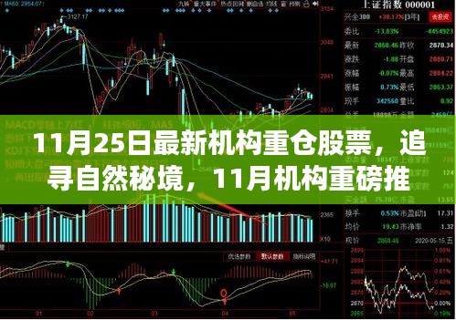 shijinbumei 第14页