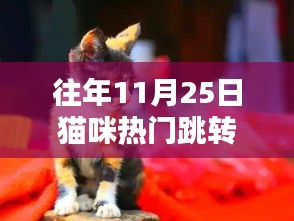 yifeizhuzou 第15页