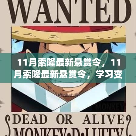 悠然自得 第15页