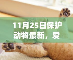 niaotihuayuan 第14页