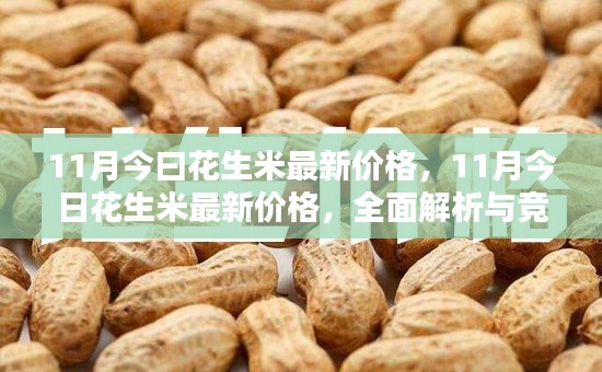 滔滔不绝 第13页