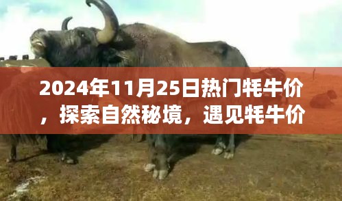 fuqibenshitong 第15页