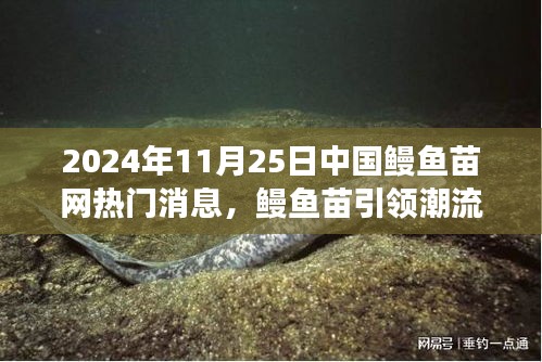中国鳗鱼苗引领潮流，探寻自然美景之旅的心灵出走与归来