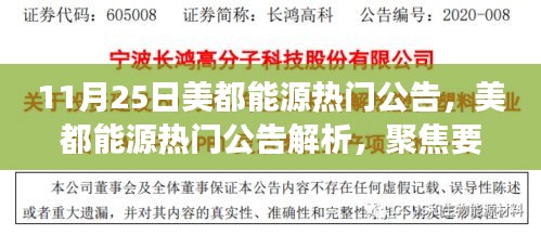 11月25日美都能源热门公告，美都能源热门公告解析，聚焦要点展望未来发展