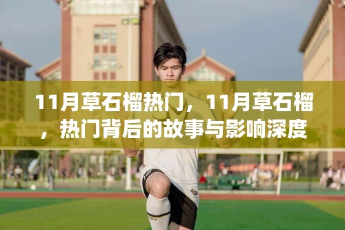 fenghuangyufei 第12页