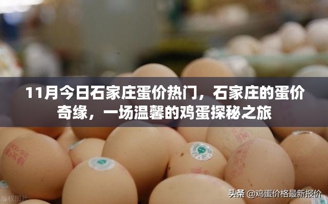 手舞足蹈 第13页